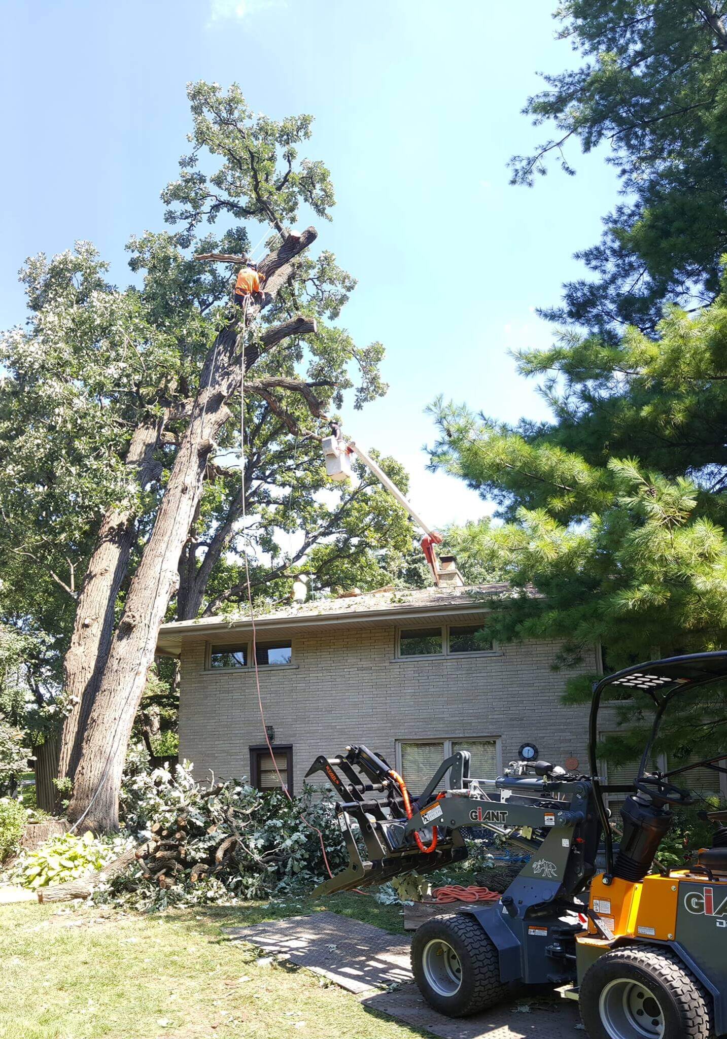 about us huber tree expert oak park il