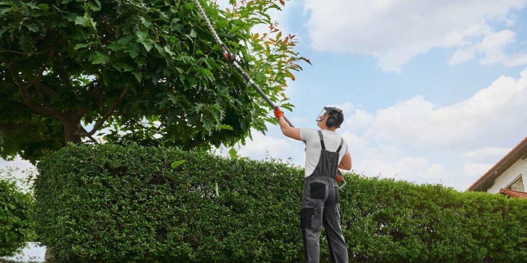 ornamental-pruning-curb-appeal-western-springs-il ornamental-pruning-curb-appeal-western-springs-il